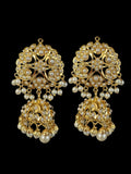 DNS189 Gold-Plated jadau Floral Hasli Necklace with jhumka earrings tika – Handcrafted Traditional Set ( READY TO SHIP )