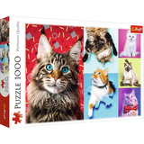 Trefl 1000 Piece Jigsaw Puzzle, Happy Cats