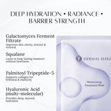 Moisturizing Treatment Sheet Mask
