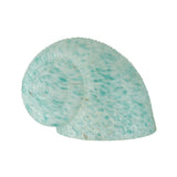 5W X 6L Teal Dapple Snail Shade