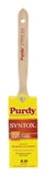 PNTBRSH SYNTOX FLT 2 (Pack of 1)