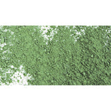 Jack Richeson Powdered Tempera Paint, Green, 1 Pound
