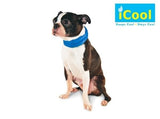 iCool Pet Scarf