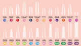 Clara Color - Full Cover Gel Tips - #18 Extra Long Coffin 550pcs