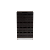 Baxton Studio Ernest Modern And Contemporary Dark Brown Finished Wood 2-Door Shoe Storage Cabinet