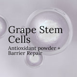 Grape Revitalizing Treatment Mask 3.0