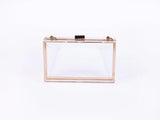 Clear Acrylic Purse