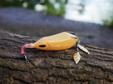 Snek Frog