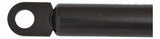 MotorGuide SL27301 10mm 10x22 Plsc Skt 30