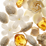 Marine Floral Eau de Parfum