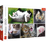 Trefl 1500 Piece Jigsaw Puzzle, Just Cat Things Collage