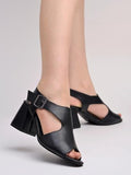 Shoetopia Solid Pointed Toe Black Pumps For Women & Girls /Eu39,Black,6,B0DJJX77DT