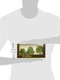 Bachmann Trains - Scene Scapes - 3- 4 Elm Trees (3 Per Box) - Ho Scale