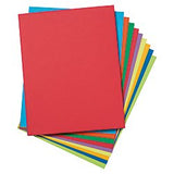 PREMIUM TAGBOARD ASSRTMNT 8.5X11IN