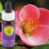 Flower Essence Services Essence, Quince, 0.25 Ounce