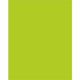 Pacon Corporation 54111 Poster Board,FadeResistant,28Inch x22Inch ,25/CT,Neon Hot Lime