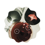 mulled wine