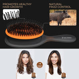Eagle Fortress Glidease Boar Hairbrush