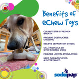Turtle Nylon Chew Toy - Ultra-Durable Enrichment Toy for Power Chewers USA