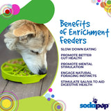 Four Seasons eTray - Shallow Slow Feeder Dog Bowl for Enrichment | USA Made