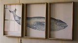 Kalalou Chh1206 Prints Under Glass, Blue