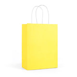 25pcs Paper Bags with Handles. Small Gift Bags Party Favor Bags Goodie Bags Shopping Bags. Gift Bags with Handles Bulk for Birth