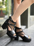 Shoetopia Women'S Block Heel Sandal/Black /Eu40 / Uk7,Black,7,B0BSC8VQCP