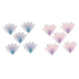 Calandis 100X Natural Magnolia Leaf Diy Crafts Leaves Decors Mixed Color | Other Scrapbook Embellishments | Scrapbooking Embelli