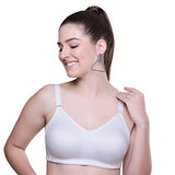 Trylo Riza Superfit Dove 40 C Cup,DOVE,40,B0BG52DKYG