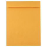 LUXPaper Jumbo Envelopes | 11 x 17 | Brown Kraft | 28lb. Text | 50 Qty