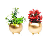 Taj India Handicrafts Metal Gol Flower Pot (10.5X10.5X10.5 Cm) (Pack Of 2 Pcs) For Decoration Of Flowers With Gold Powder Coated