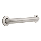Franklin Brass 5616 11/2Inch x 16Inch Concealed Mount Safety Bath and Shower Grab Bar, Stainless