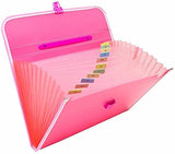 Asv Plastic Presents The Plastic File 13 Folder F|C Expanding Bag With Handle 1111 (Set Of 1) Durable Pink Storage Solution Fo