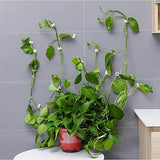 Drbs Plant Climbing Wall Fixing Clip, Indoor Cable Tie Clip, Vine Plant Climbing Support Clip, SelfAdhesive Hook, Invisible Vin