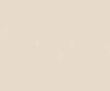 Coats Thread & Zippers F8414256 Invisible Zipper, 12 to 14, Natural
