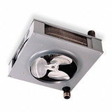 Hydronic Unit Heater,251/4 in. W