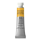 Winsor & Newton Professional Water Colour Paint, 0.17oz Tube, Indian Yellow