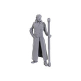 WizKids D&D Nolzur's Marvelous Miniatures: Special Edition Baldur's Gate 3 (Gale & Astarion)