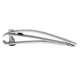STALEKS BEAUTY & CARE 10 NAIL CLIPPER MINI - KBC-10 - STALEKS™