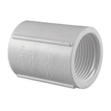 COUPLE SCH40 PVC 1/2FPT (Pack of 50)