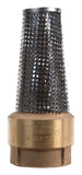 FOOT VALVE 2 LF (Pack of 1)