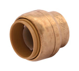 Endstp Brs 3/4Psh 4P Sb (Pack Of 1)