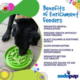 Garden Design eTray - Shallow Slow Feeder Dog Bowl for Enrichment | USA