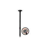 Wood Screws 3-3/8L (Pack Of 1)