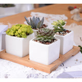 Ceramic Square Flower Pot 4 Piece Set With Bamboo Tray