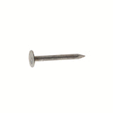 ROOF NAIL EG 1.75 1# (Pack of 12)