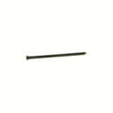 NAIL FNS GLV 16DX3.5 1# (Pack of 12)