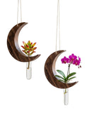 G N Handicrafts Greens ; Sow, Grow, Eat, Repeat Hanging Moon Planter With Wooden Holder & Rope | Test Tube Hanging Planter | Woo