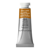 Winsor & Newton Professional Watercolor, 14ml (0.47oz) Tube, Burnt Umber