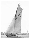 Sailing In Sydney Harbour-Paper Art-26,,X34,,